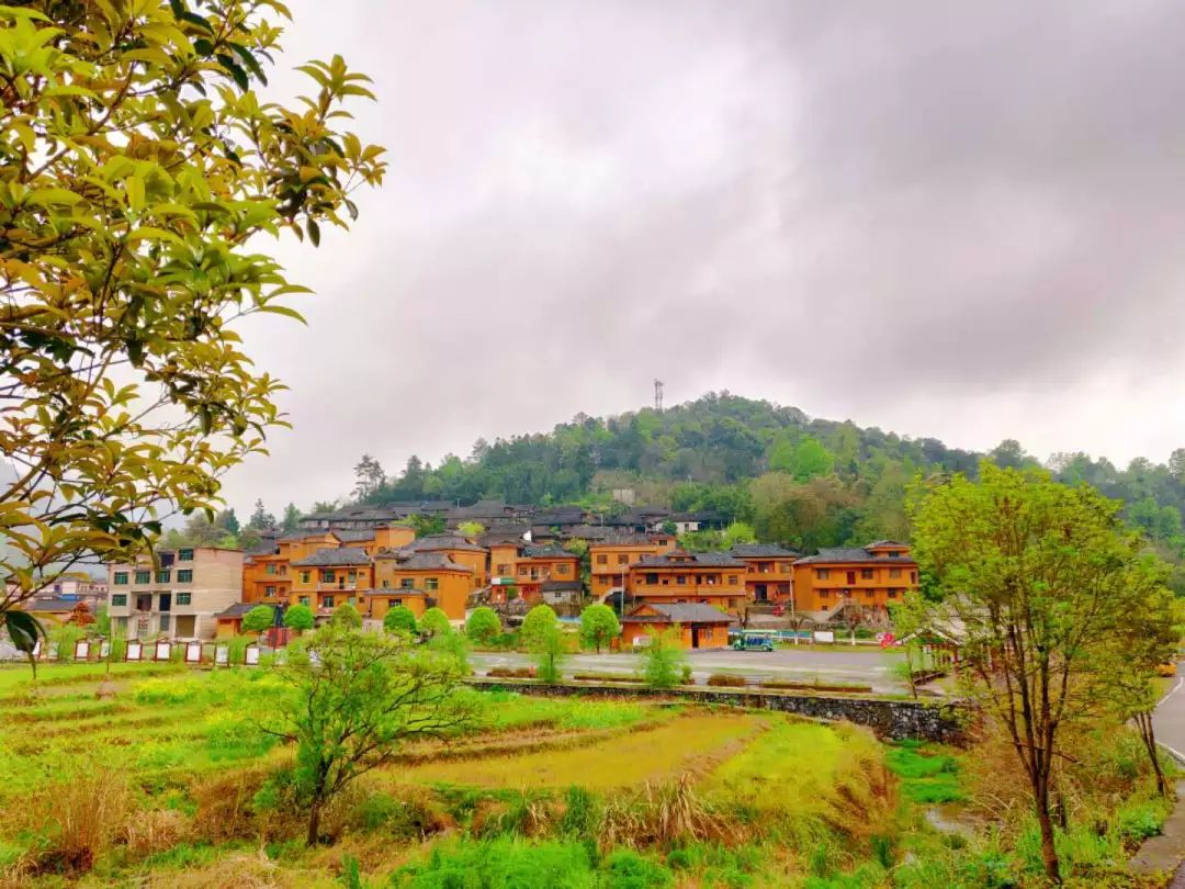 董事長(zhǎng)唐樹(shù)松 尋紅色記憶，憶鄧恩銘波瀾一生